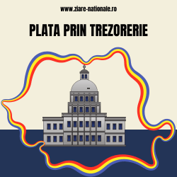 publica anunt trezorerie